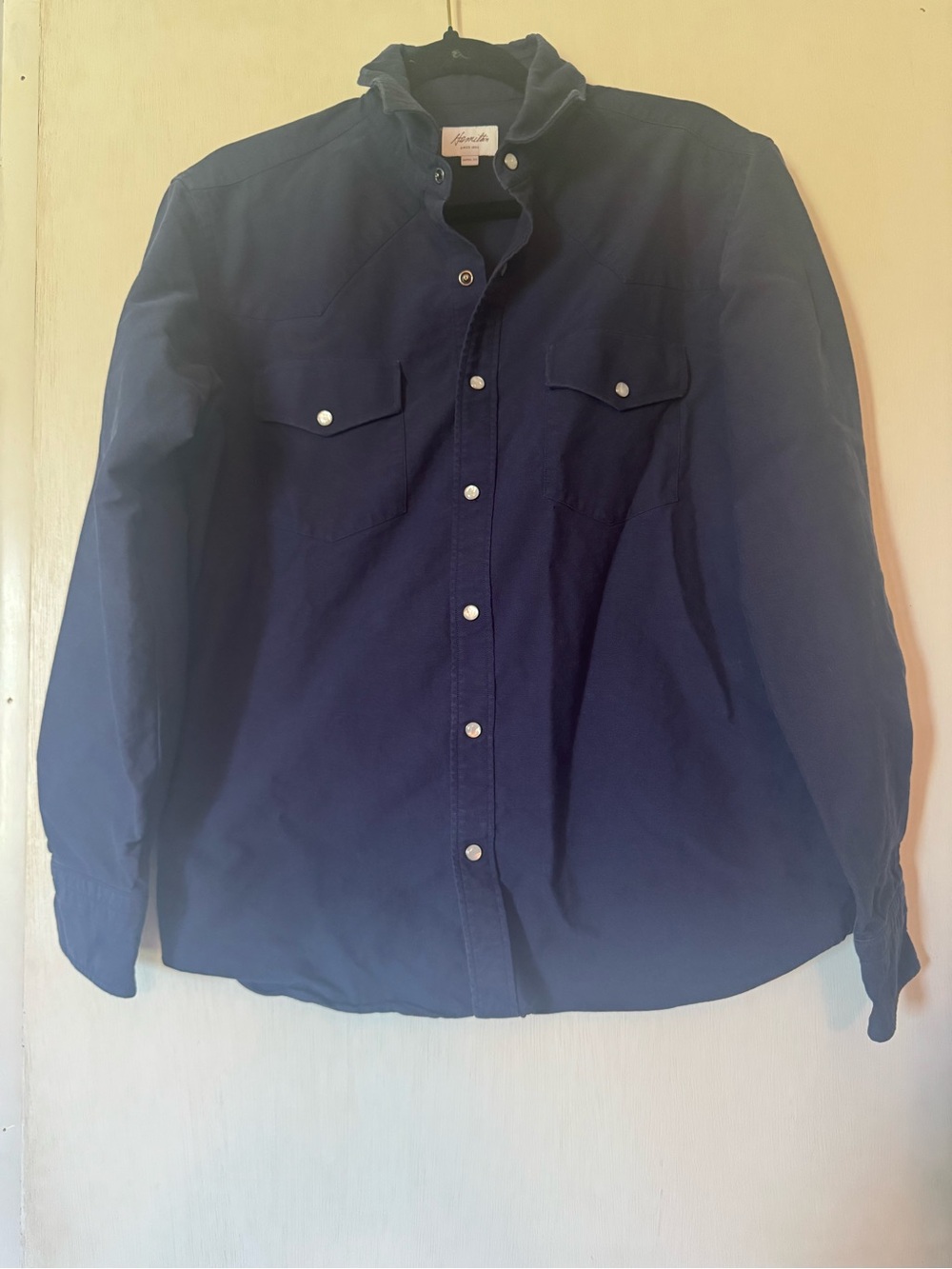 Hamilton pearl snap button down - Picture 6 of 9